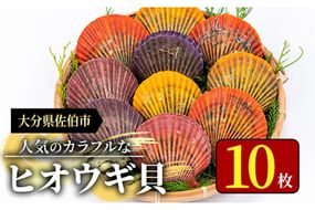 ヒオウギ貝 (10枚) 魚介 貝 ヒオウギ貝 ひおうぎ貝 酒蒸し 網焼き バター焼き バーベキュー 冷蔵 海の直売所 大分県 佐伯市【AS119】【海べ (株)】