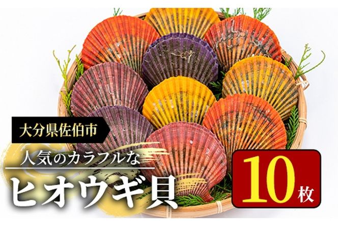 ヒオウギ貝 (10枚) 魚介 貝 ヒオウギ貝 ひおうぎ貝 酒蒸し 網焼き バター焼き バーベキュー 冷蔵 海の直売所 大分県 佐伯市【AS119】【海べ (株)】