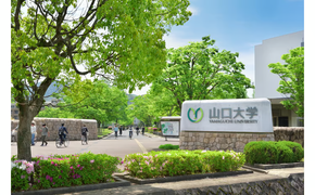 K015 【返礼品なし】山口大学支援事業（教育研究・人材育成・地域貢献活動への支援） | 山口県山口市 学生応援