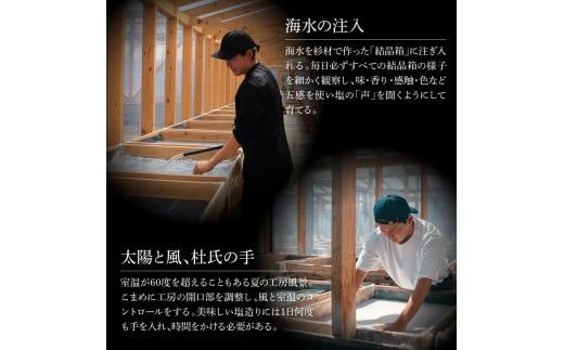 銀象ソルト Ginzo-Salt お試しサイズ３種類セット 塩 しお 調味料 天日塩 完全天日塩 国産 高知県産 ソルト ミネラル 健康 お試し セット スタンダード ミート【塩杜氏銀象】 [BQBX001]