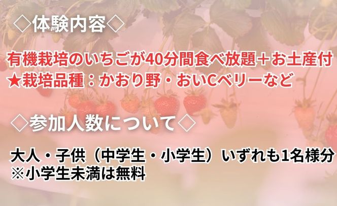【オーガニックnico】有機栽培のいちご狩り1名分(2026年3月～4月開催)｜京都 大原野 いちご 食べ放題 人気 おすすめ [ 有機いちご 40分いちご狩り＋お土産付き 幼児は無料 人気 おすすめ 果物 フルーツ フルーツ狩り ふるさと納税 ] 261009_B-SR04