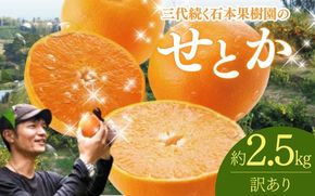 【先行予約】【訳あり】石本果樹園の美味しいせとか 約2.5kg 9～15玉【2月中旬から3月中旬までに順次発送】 / みかん フルーツ くだもの 果物 せとか 大トロ トロ【min019】