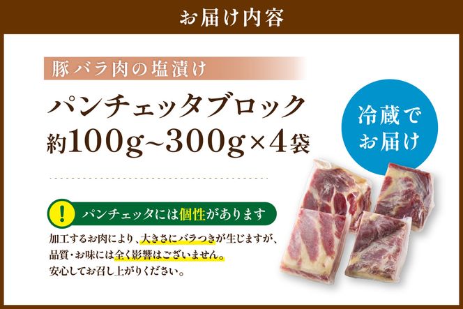 パンチェッタブロック（豚バラ肉の塩漬け）　約200g×4袋 ふるさと納税 豚肉 塩漬け ふるさと納税 ベーコン ふるさと納税 パンチェッタ 豚バラ 塩漬け スペイン料理　NI00022