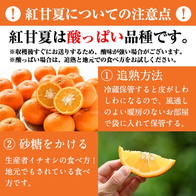＜先行予約受付中！2027年1月中旬以降順次発送予定＞訳あり紅甘夏(約20kg) 国産 鹿児島県 阿久根市 果実 果物 フルーツ 柑橘 紅甘夏 みかん ミカン 期間限定 数量限定【桐野柑橘株式会社】akn070-09