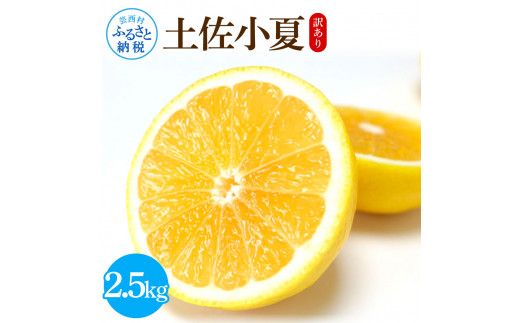 【CF-R7hbk】SKS066　【先行予約】訳あり 土佐小夏 2.5kg 2.5キロ サイズお任せ こなつ コナツ 柑橘 かんきつ 柑橘類 フルーツ 果物 くだもの デザート おやつ ジュース ジャム 美味しい 家庭用 ご自宅用 訳アリ