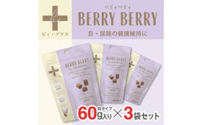 犬用おやつサプリメント　ビィ・プラス ベリィベリィ  3袋セット 272230_BB010