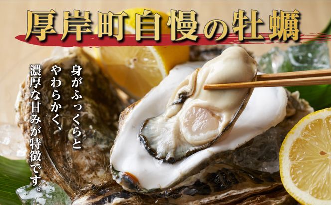 定期便 3ヶ月 北海道 厚岸産 牡蠣 Lサイズ 20個 (各回20個×3ヶ月分,合計60個) 殻付き 生食 カキナイフ付き かき カキ 生牡蠣 魚介類 貝 マルえもん