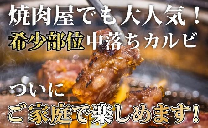 《内容量が選べる》秘伝のタレ漬け!牛中落ちカルビ 500g～2000g | 佐賀県 上峰町 冷凍 チルド 牛肉 中落ち カルビ BBQ お弁当