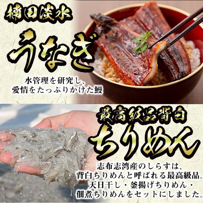 極うなぎ蒲焼110g以上×8尾(計880g以上)+佃煮ちりめん130g+釜揚げちりめん110g×3個+ちりめん100g e0-048