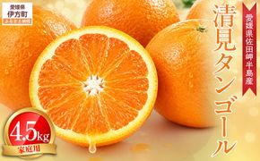 【先行予約】【農家直送】愛媛県産 清見タンゴール 家庭用 4.5kg（2027年3月上旬～4月下旬に順次発送予定）IKTC021
