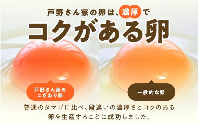 099Z642 【12ヶ月 定期便】こだわりタマゴ 60個×全12回 Mサイズ 合計 720個【毎月配送 卵 たまご 国産 濃厚 とことん餌にこだわった とのたま】