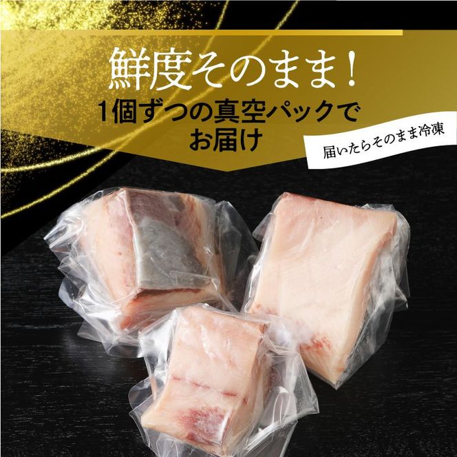 【大和海商】大和ブリの切り身　12ヵ月定期便 N072-YG0184