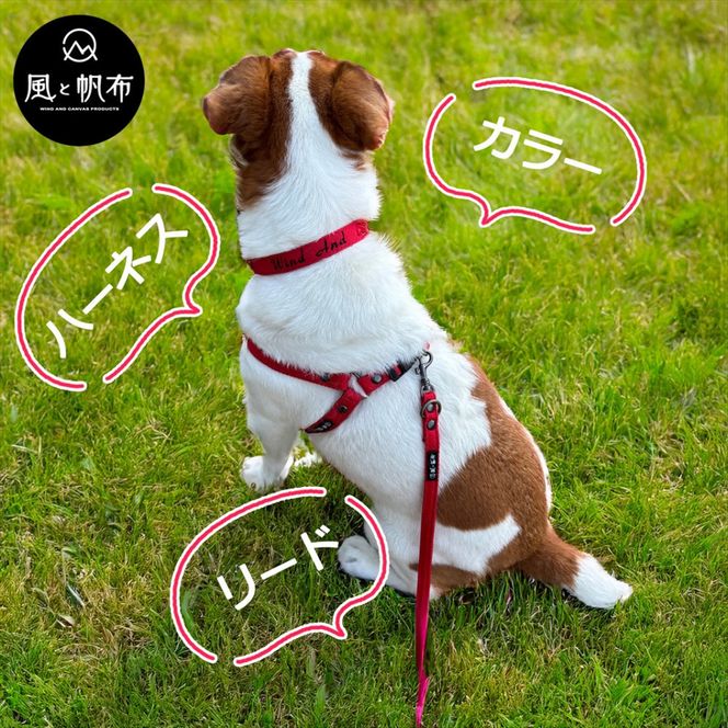 香川県産 丈夫でやさしい綿帆布ドッグカラー 天然コットンの犬用首輪 Mサイズ、レッド、1点 372013_LJ001VC01
