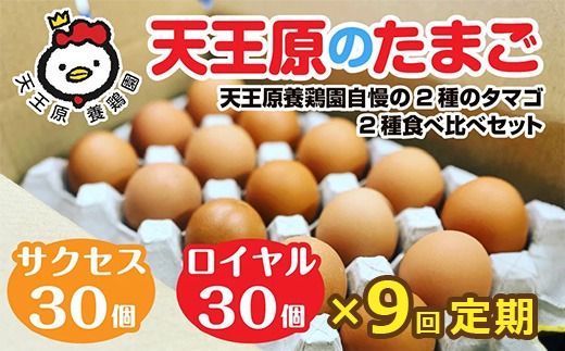 【定期便】9回定期【天王原のたまご】 サクセス卵30個/ロイヤル卵30個 【9回定期便 セット たまご 卵 玉子 タマゴ 濃厚 食べ比べ ハリ 弾力 ボリューム 甘味 旨味 卵黄 風味 生 コク 甘味 卵かけご飯 卵焼き 目玉焼き オムレツ 茶碗蒸し お菓子作り パンの材料】