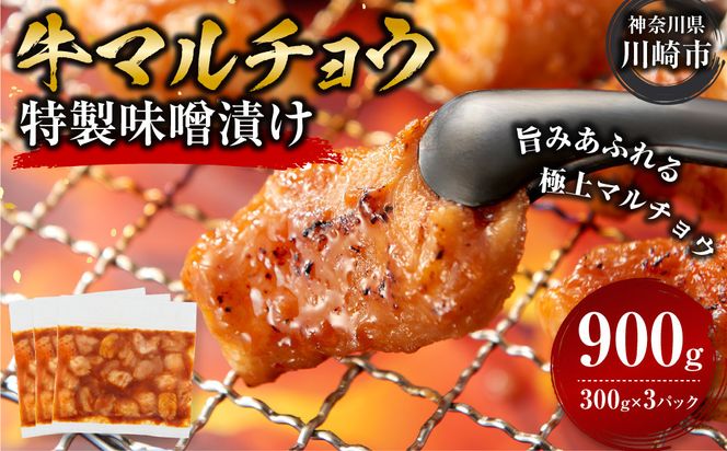＜訳アリ＞牛マルチョウ　特製味噌漬け　0.9kg(300g×3）【12月発送】 【kw0096-0038-12】