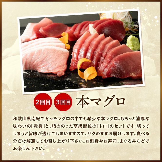 和歌山の美味満喫便 本マグロ＆湯浅たまり醤油 全3回 _YAS60-T03