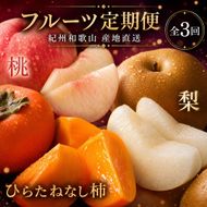〈定期便〉【7・9・10月 全3回】紀州和歌山産旬のフルーツセット(桃・梨・ひらたねなし柿) ※離島への配送不可