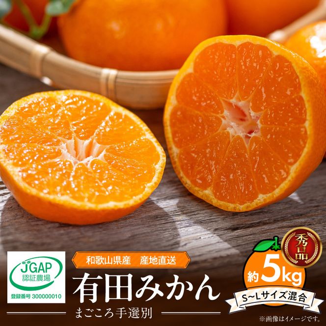 【2026年先行予約】【秀品】和歌山県産　有田みかん 約5kg （S～Ｌサイズ混合）【まごころ手選別】_ZE6484