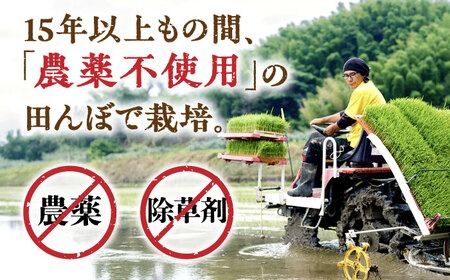 【全6回定期便】 糸島産 雷山のふもとの米 農薬不使用 5kg 糸島市 / ツバサファーム[ANI004]