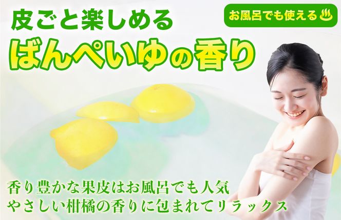 【先行予約】 晩白柚 ばんぺいゆ 3Lサイズ 4玉 約10kg 果物 果実 くだもの フルーツ 柑橘 柑橘類 熊本県 八代市 【2026年12月上旬より順次発送】