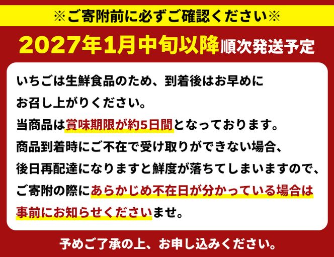 ＜先行予約受付中！2027年1月中旬以降順次発送予定＞ 鹿児島県産 いちご (さがほのか「秀大」・計約1.4kg・40粒×2箱) 鹿児島 阿久根 果物 フルーツ イチゴ いちご 苺 さがほのか デザート おやつ 期間限定 数量限定 【鹿児島いずみ農業協同組合】akn018-21