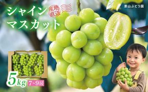 【2026年発送】 ぶどう シャイン マスカット 5kg 7～9房 糖度18度以上 種なし シャインマスカット 訳あり 家庭用 岡山県産 景山ぶどう園 