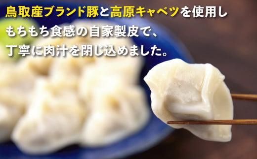 台湾水餃子 豚水餃子 30個入り 312011_DK002