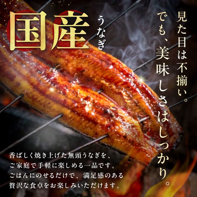 【訳あり】老舗魚屋のこだわり国産鰻 うなぎの蒲焼き5尾セット【魚住商店】_HA1999 うなぎ 国産 こだわり 丑の日 おいしい 福岡県宗像市 宗像市 福岡 宗像