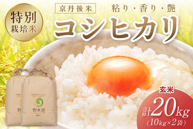 2026年産 京丹後米 特別栽培米コシヒカリ 20kg（玄米） 玄米 ふるさと納税 米 お米 ご飯 ごはん コシヒカリ 京丹後産　NO00035