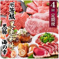 定期便(4回配送)黒毛和牛&黒豚・かつお・さつまあげ NN-0040 【1166778】