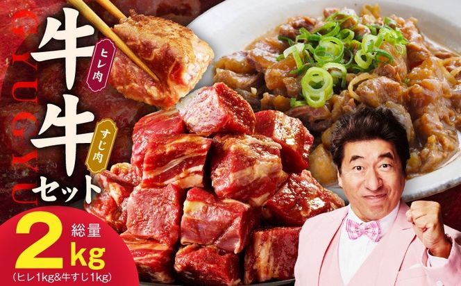 mrz0380 【氷温熟成×特製ダレ】牛ヒレ 1kg＆牛すじ肉 1kg 総量2kg【味付き 訳あり サイズ不揃い 小分け 冷凍 SDGs フードロス カレー 煮込みに】