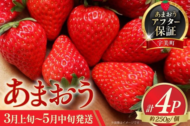 いちご あまおう 先行予約 約250g×4P 3月上旬 5月中旬 【2027年発送】 [一千也フーズ 福岡県 宇美町 um40azp140005] 苺 イチゴ フルーツ ストロベリー 甘い あまい 季節限定 期間限定 1kg 2027
