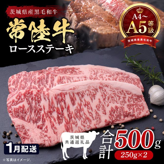 【2027年1月発送予定】最高級A4.A5ランク 常陸牛ロースステーキ500ｇ（250ｇ×2）【人気肉 お肉 牛肉 和牛 黒毛和牛 国産黒毛和牛 ロース肉 ステーキ 国産牛 焼肉 焼き肉 バーベキュー BBQ A5 ブランド牛】(CR101-1)