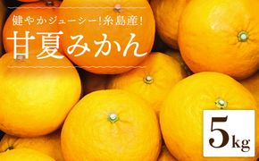 健やかジューシー・夏の味 糸島産甘夏みかんM〜L玉・約5kg二丈赤米産直センター[ABB007]
