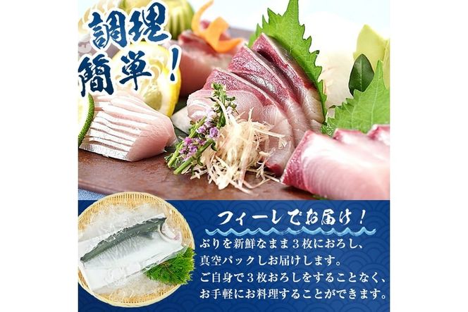 大分県産養殖ブリフィーレ(約1kg前後)とブリチャン（ブリのチャンジャ）お土産用(40g) セット 鰤 ブリ フィレ 国産 刺身 さしみ 魚介 海産物 半身 丼 カルパッチョ ブリしゃぶ たたき おつまみ 大分県産 大分県 佐伯市【EW063】【(株)Up】