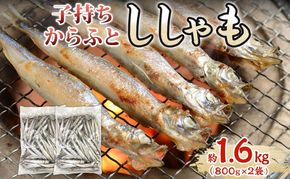 子持ちからふとししゃも 約1.6kg(800g×2) 樺太 魚シシャモ メス おつまみ 魚貝類 干物 量販店 居酒屋 馴染み 人気 卵 詰まった 塩 味付け 