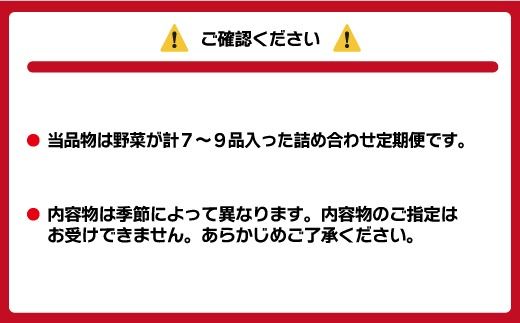 【奇数月お届け】むなかた旬のお任せセット(野菜) 7～9品【ほたるの里】_HB0172