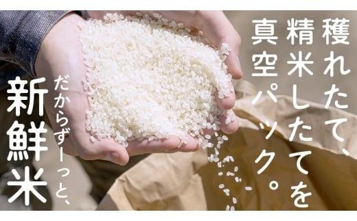 食べくらべ　精米5種　真空 450g ( 3合 ) × 2袋 × 5種類 令和7年産 米 お米 コメ 茨城県 新生活 応援 コシヒカリ ミルキープリンセス にじのきらめき つきあかり まんげつもち 餅米 食べ比べ　 [EX002ci]