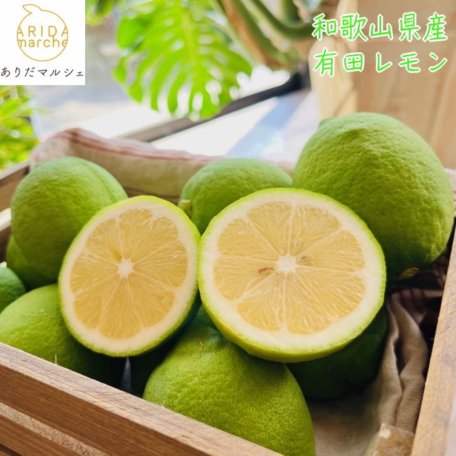 【国産】紀州和歌山 有田レモン 3kg+200g(傷み補償分)