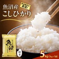 【令和8年産 先行予約】食味鑑定士厳選！魚沼産こしひかり ５ｋｇ 白米 安心 安全 こだわり 米 コシヒカリ 新潟県 十日町市