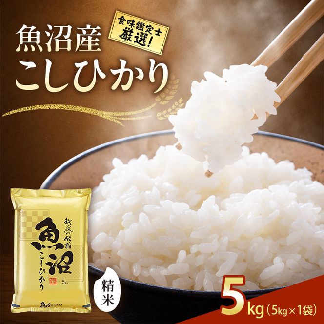 【令和8年産 先行予約】食味鑑定士厳選！魚沼産こしひかり ５ｋｇ 白米 安心 安全 こだわり 米 コシヒカリ 新潟県 十日町市