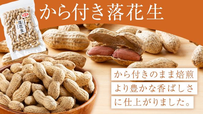 から付き落花生 600g （100g×6袋） 煎りざや落花生 おつまみ おやつ ピーナッツ 殻付き ナカテユタカ