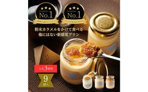 プリン専門店Totto PURIN プリン食べ比べ9個セット 312011_DD013