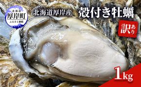 訳あり 北海道 厚岸産 殻付き 牡蠣 1kg 魚貝類 生牡蠣 海の幸 海鮮 オイスター 濃厚な甘み グルメ 