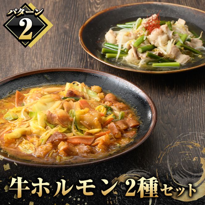 ＼テレビで紹介されました！／国産牛ホルモン2種セット(合計2kg) 国産 特産品 牛 小腸 味付 パック 詰め合わせ 詰合せ 炒め物 鍋 モツ おかず お弁当【スターゼン】akn031-01