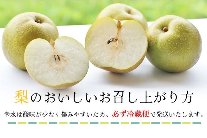 BH005 【令和9年度出荷分】【数量限定】 幸水梨 約5kg（10玉～16玉） [新鮮 農家直送 夏の味覚 フルーツ 贅沢宝庫 長崎県 島原市]