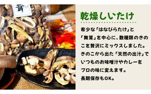 きのこ の 加工品 詰め合わせ 5点セット （茨城県共通返礼品：城里町） きのこミックス 野菜 水煮 国産 きのこ ご飯の素 国産 うどん そばの具 乾燥 しいたけ 乾燥 きくらげ バラエティ セット 乾燥きのこ  [DY004us]