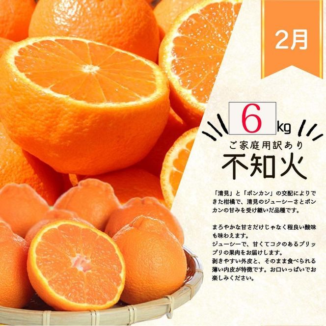 【1・2・3・4月 全4回 定期便】紀州和歌山産旬のご家庭用柑橘セット(みかん・不知火・せとか・清見) AN062