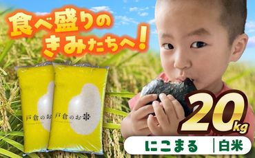 ＼11月～選べる配送月／にこまる　白米　20kg　お米　ご飯　愛西市／株式会社戸倉トラクター[AECS057]