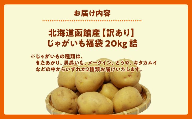 じゃがいも 福袋 2種類 20kg きたあかり 男爵いも メークイン とうや キタカムイ 北海道産 じゃがいも Mサイズ　2Lサイズ 訳あり 野菜 新鮮 国産 食品 お取り寄せ お取り寄せグルメ 北海道 函館市 送料無料_HD206-003